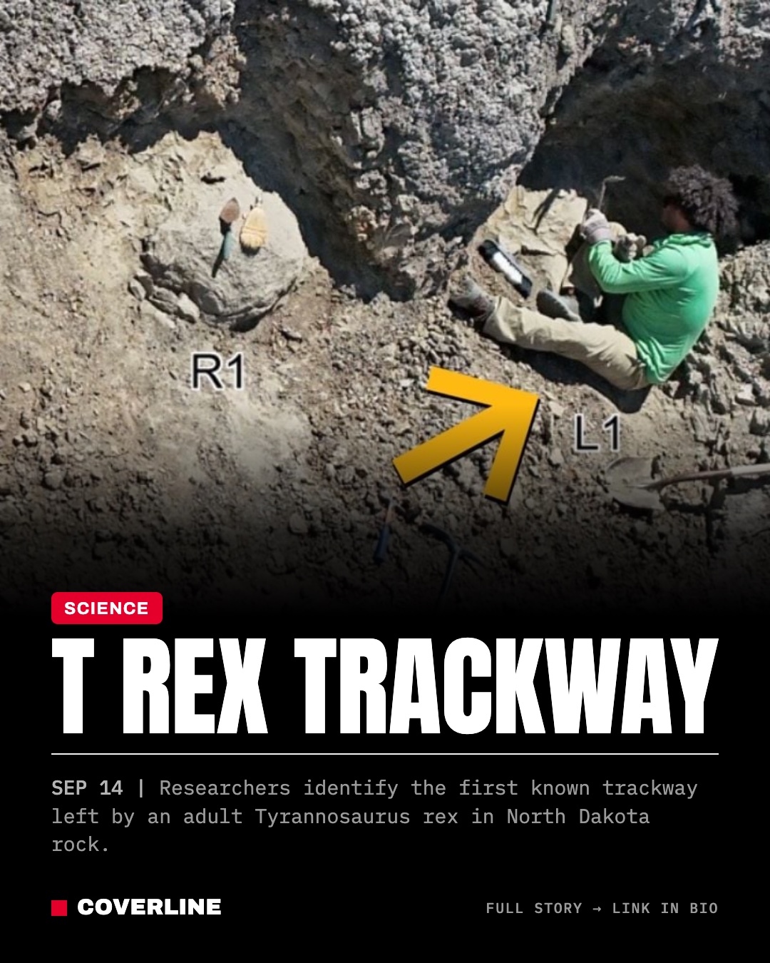 T Rex Trackway